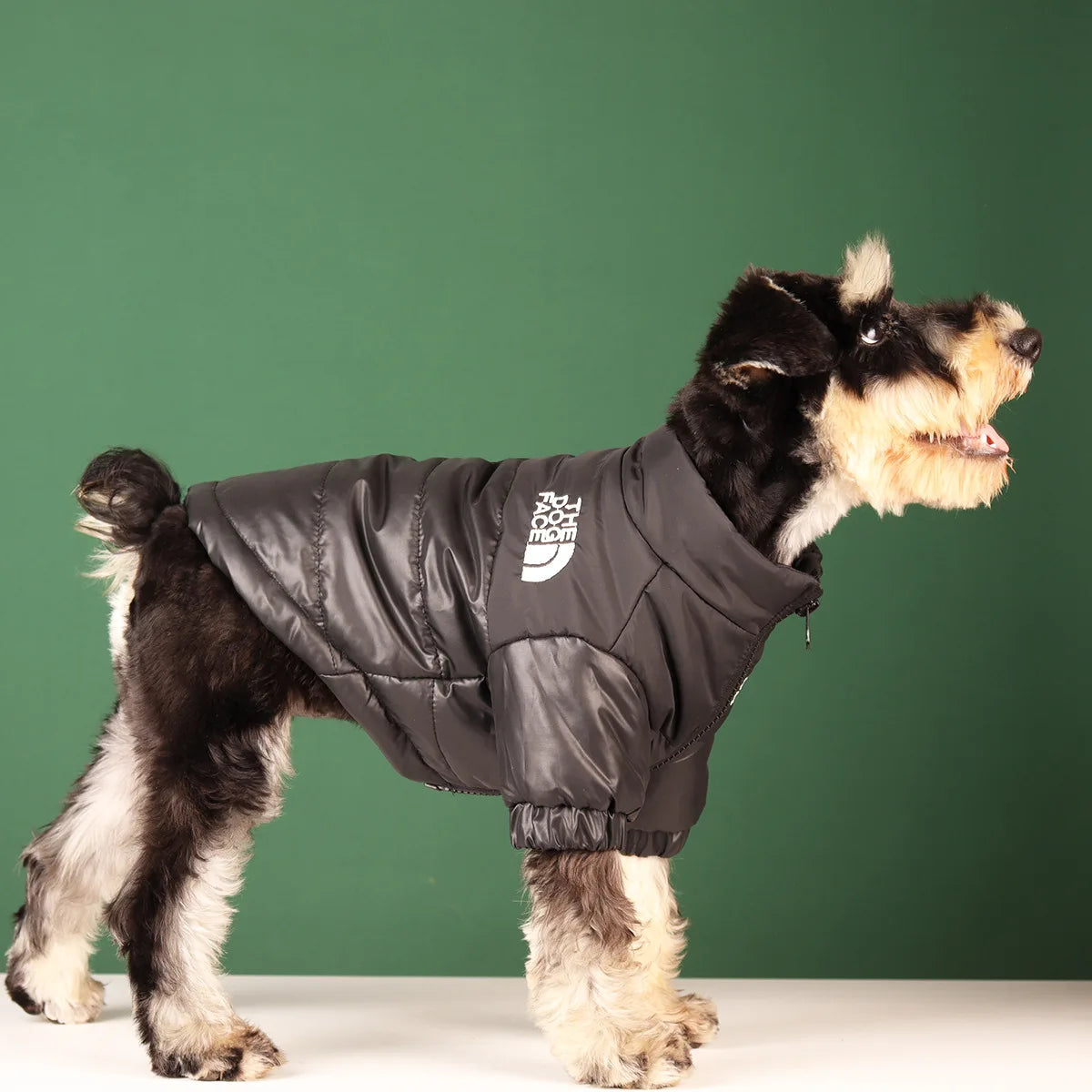 Doggo Warm Fashionable Coat