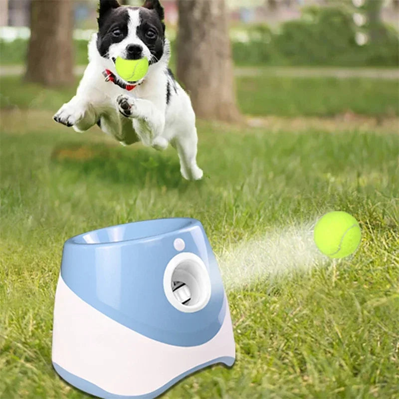 Automatic Ball Launcher