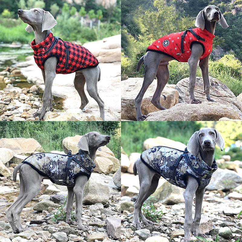 Waterproof Doggo Harness Jacket