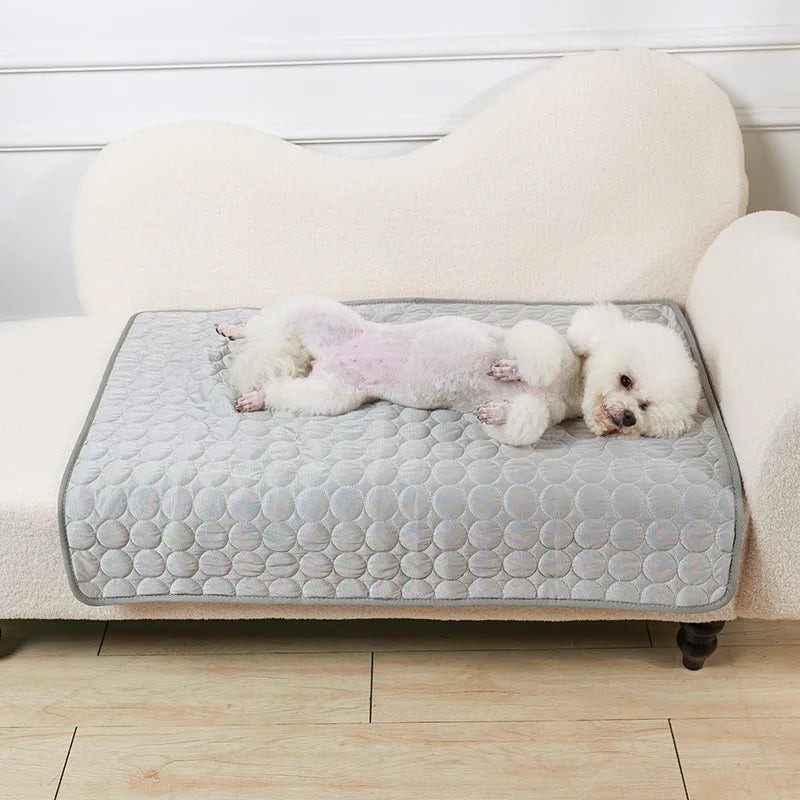 44486731137155|44486731169923|44486731202691|44486731235459|44486731268227|44486731300995