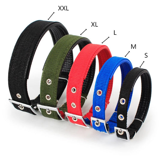 Doggo Collar