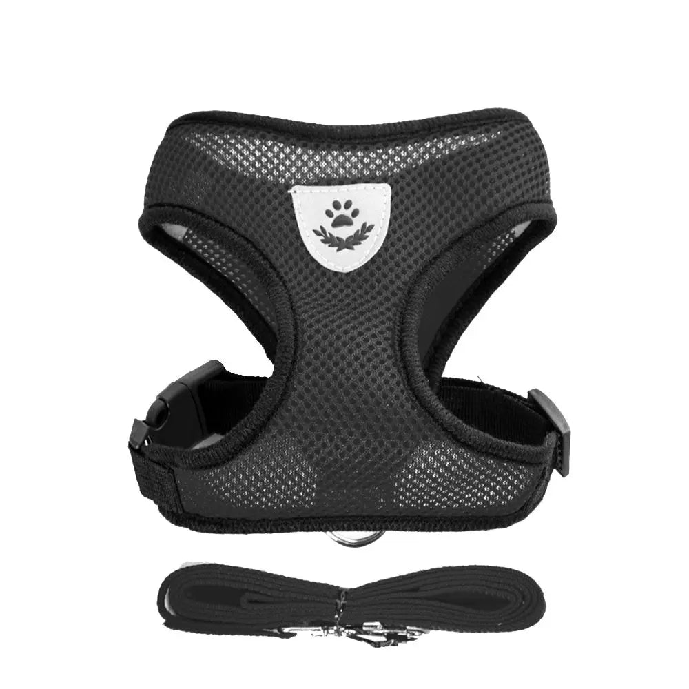 44448042516611|44448042549379|44448042582147|44448042614915