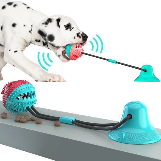 Doggo Suction Cup Tug of War