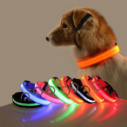 Doggo Night Collar