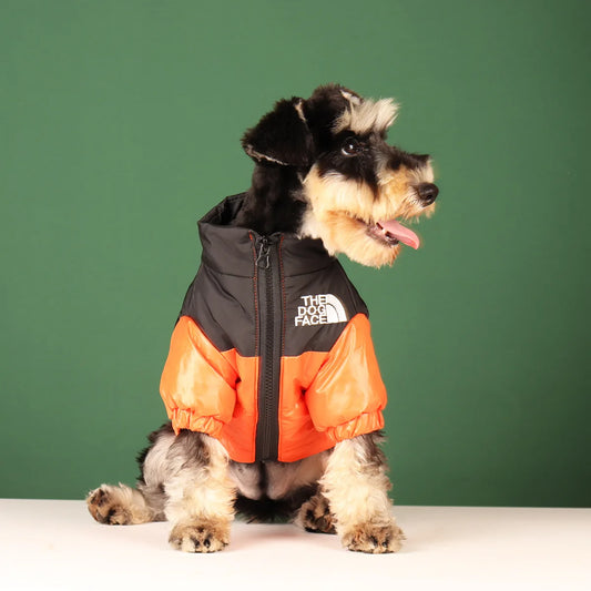 Doggo Warm Fashionable Coat